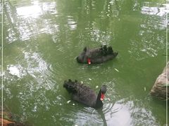 -济南野生动物世界