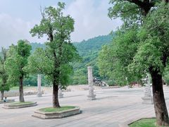 -阳台山森林公园