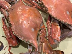 -大锅强·蒸海鲜青岛菜(吾悦广场店)