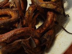 -天强农家菜馆
