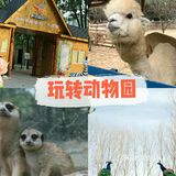 想去动物园？来乐zoo动物体验营！