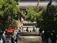 -潭柘寺景区