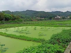 -红山村