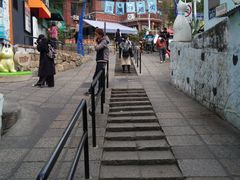 -猫咪博物馆(顶澳仔猫街店)