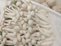 -德龙火锅(松源街直营店)