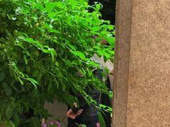 -湖畔居茶楼(湖滨店)