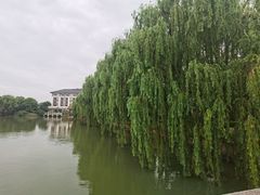 -同里湖度假村(二期店)