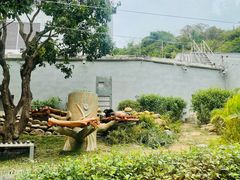 -石排湾郊野公园