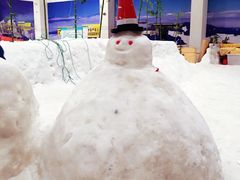 -绍兴启迪乔波冰雪世界