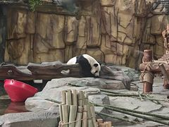 -泉州海丝野生动物世界