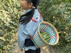 -庞各庄西瓜蔬菜采摘园·锦华瓜园