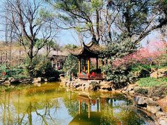 -杭州植物园