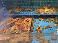 -冀粤香海鲜自助餐厅(西美五洲店)