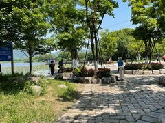 -长田漾湿地公园