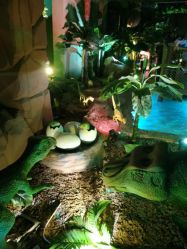 -恐龙探索乐园(磁器口店)