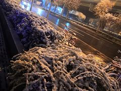 -西部马华清真兰州牛肉面·烧烤夜市(关东店)