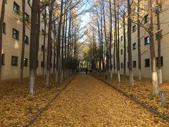 -北京国家会计学院