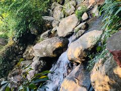 -藏龙百瀑风景区