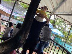 -昆明动物园