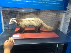 -广东科学中心