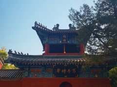-洛阳白马寺