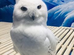 -成都浩海立方海洋公园