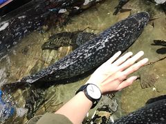 景观位-79号渔船海鲜饭店(华强北店)