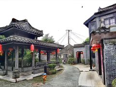 -黄海国家森林公园