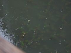 -丝绸小镇荻港古村