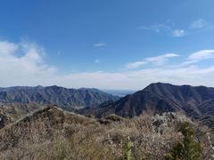 -大岭沟猕猴桃谷风景区