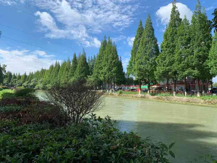 蜀绣公园-"安靖高桥这里重新弄了个文化创意公园,不好.