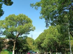-白塘生态植物园