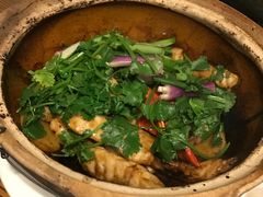 啫啫脆肉鲩-广东道至正餐厅(区庄店)