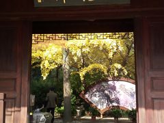 -汇龙潭