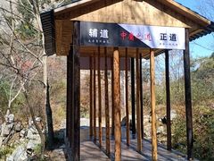 -青峰峡国家森林公园