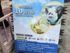 -深圳野生动物园