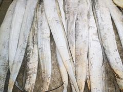 -渔中舟海鲜大排档(普陀沈家门店)