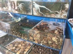 水产区-蟹谢蒸鲜自助餐厅