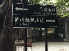 -东部华侨城