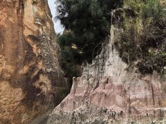 -彩色沙林风景区