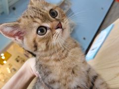 -瑞派蒂凯宠物医院·免疫点·宠保定点