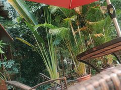 -丰泰花园酒店热矿泉