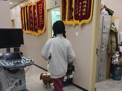 -瑞鹏宠物医院·骨外科·心肾科·肿瘤科(九亭店)