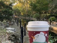 -COSTA COFFEE(上海虹口公园店)