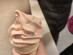 -麦当劳(东大桥店)
