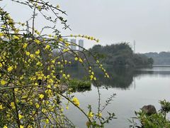 -重庆彩云湖湿地公园