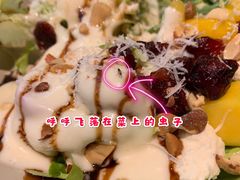 -机器人火炉披萨