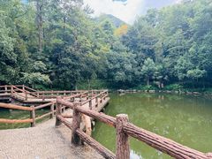 -大奇山国家森林公园
