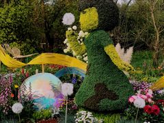 -上海共青森林公园