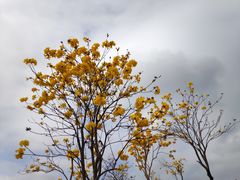 -香山湖公园